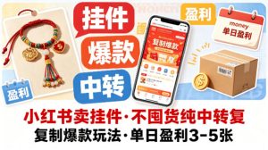 小红书卖挂件,不囤货纯中转复制爆款玩法,单日盈利3-5张-虚拟资源库