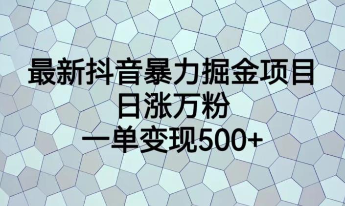 最新抖音暴力掘金项目,日涨万粉,一单变现500+【揭秘】-虚拟资源库
