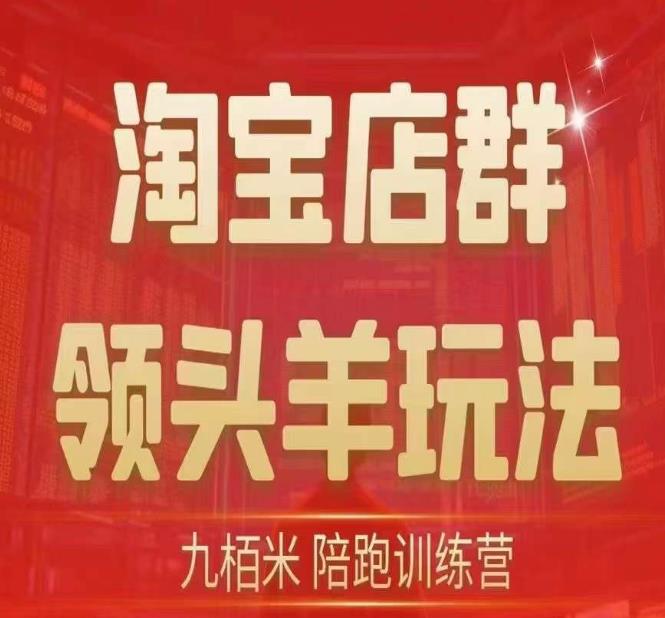 九栢米-淘宝店群领头羊玩法,教你整个淘宝店群领头羊玩法以及精细化/终极蓝海/尾销等内容-虚拟资源库