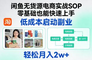 闲鱼无货源电商实战SOP,零基础也能快速上手,低成本启动副业,轻松月入2w+-虚拟资源库