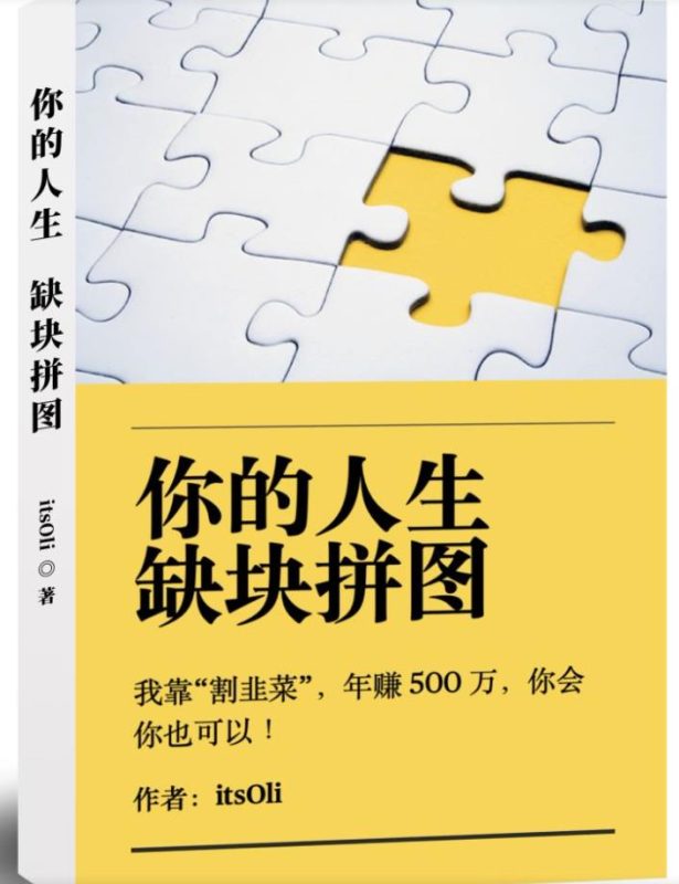 某高赞电子书《你的人生，缺块拼图——我靠“割韭菜”，年赚500万，你会你也可以》-虚拟资源库