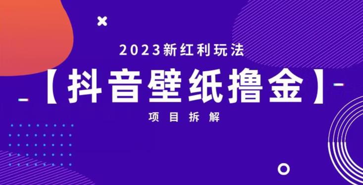 抖音壁纸小程序创作者撸金项目,2023新红利玩法【项目拆解】-虚拟资源库