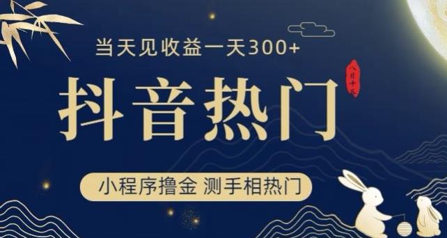 抖音最新小程序撸金,测手相上热门,当天见收益一小时变现300+【揭秘】-虚拟资源库