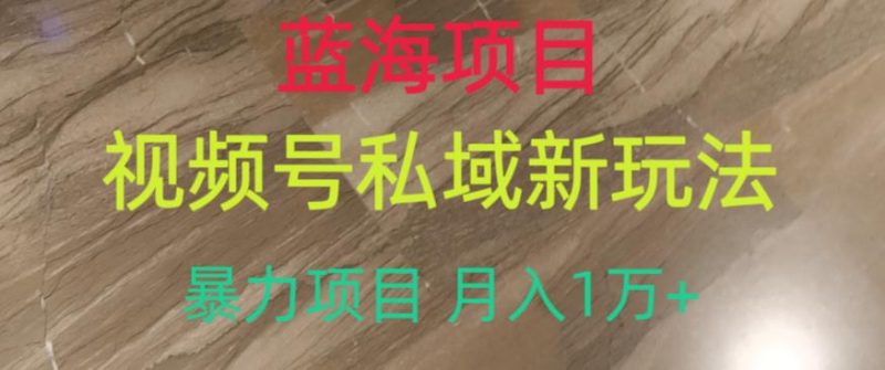 蓝海项目,视频号私域新玩法,暴力项目月入1万+【揭秘】-虚拟资源库