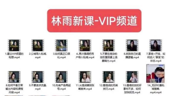 林雨新课VIP频道，玩赚私域/朋友圈/社群-虚拟资源库