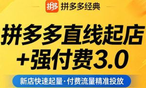拼多多直线起店+强付费3.0，教你稳定起店、高效控投产、破解流量瓶颈（更新6月）-虚拟资源库