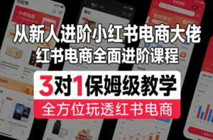 从新人进阶小红书电商大佬，红书电商全面进阶课程，3对1保姆级教学，全方位玩透红书电商-虚拟资源库