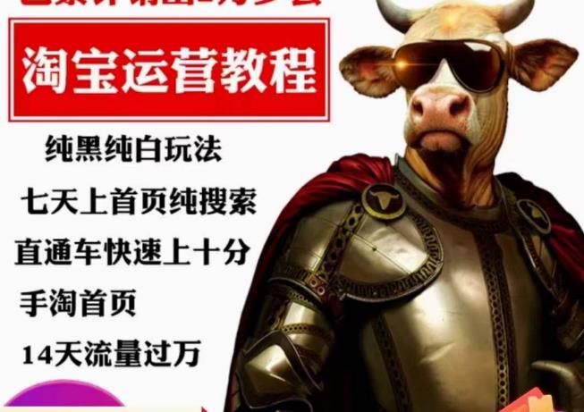 猫老师·淘系算法逆向解密,纯黑纯白玩法,七天上首页纯搜索,手淘首页14天流量过万-虚拟资源库