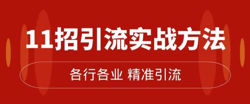 精准引流术:11招引流实战方法,让你私域流量加到爆(11节课完整)-虚拟资源库