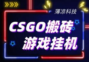 CSGO游戏挂G游戏搬砖最新升级,普通小白一部手机可日入3张+当天见结果,支持验证【揭秘】-虚拟资源库