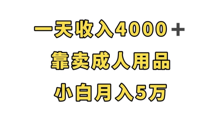 一天收入4000+，靠卖成人用品，小白轻松月入5万【揭秘】-虚拟资源库