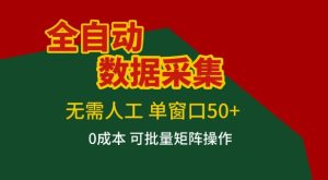 全自动数据采集项目,无需人工,单窗口可达50+收益,操作简单无难度,一个人也能轻松实现矩阵【揭秘】-虚拟资源库