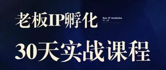 诸葛·2023老板IP实战课,实体同城引流获客,IP孵化必听-虚拟资源库