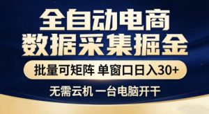 独家电商数据全自动采集项目,批量可矩阵,单窗口轻松日入3张+【揭秘】-虚拟资源库