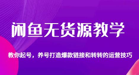 闲鱼无货源教学,教你起号,养号打造爆款链接以及转转的运营技巧-虚拟资源库