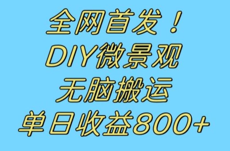 全网首发冷门赛道!DIY微景观,无脑搬运视频,日收益800+【揭秘】-虚拟资源库