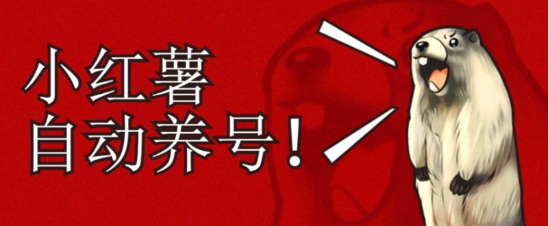 小红书养号秘籍，如何自动涨粉清晰系统标签打造高权重账号【揭秘】-虚拟资源库