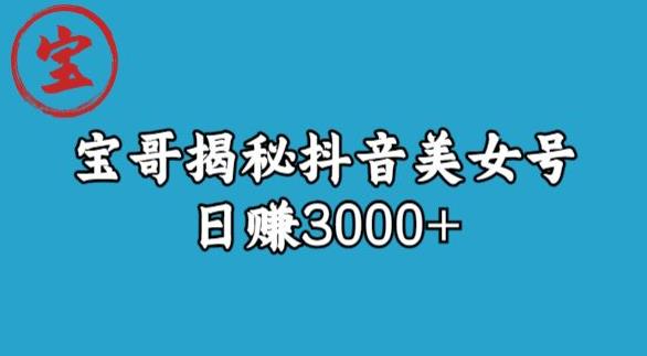 宝哥揭秘抖音美女号玩法,日赚3000+【揭秘】-虚拟资源库