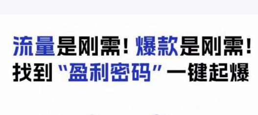 电商盈利精品课:6大盈利密码让产品更好卖,流量是刚需!爆款是刚需!找到”盈利密码”一键起爆-虚拟资源库
