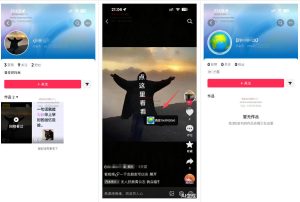 最强抖音引流-隐藏式暂停跳钩子,效果自测-虚拟资源库