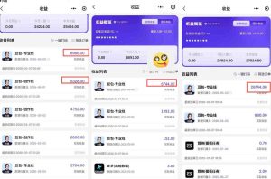 豆包专业线小程序拉新项目,爆一条视频就是5k+收益,抓紧搞这个-虚拟资源库