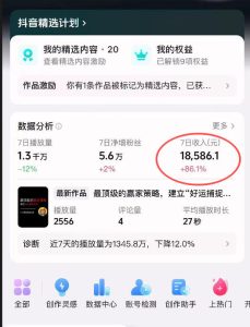 抖音31W博主的思维破局短视频制作教学,可进伙伴计划+精选独家,7天收益1.8W-虚拟资源库