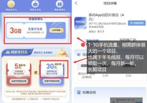 手机流量领取推广_每月一轮,刚需类的长期项目-虚拟资源库