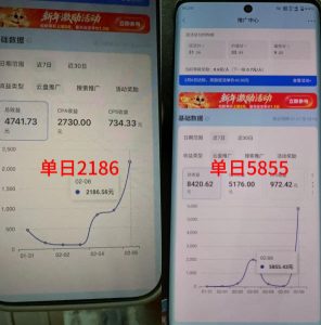 抖音收藏家项目，一天200-1k+做起来很简单，只要你做了，就一定会有收益-虚拟资源库