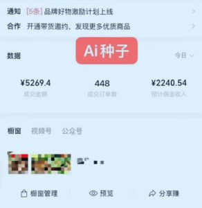 视频号AI种子带货，0粉0保证金就可做，人人能做，实操日入1k+-虚拟资源库