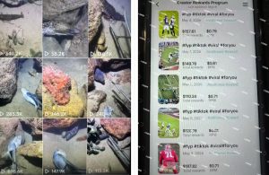 Tiktok中视频解说教程,体育+温情文案双赛道实操教程一站式带你落地,教你出海賺美刀-虚拟资源库
