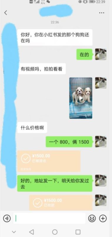 外边收费3980的同城萌宠项目,用最冷门的玩法冲击最热门的市场【揭秘】-虚拟资源库