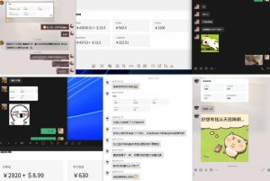 雷神加速器项目模拟器_无脑1分钟1条视频矩阵_疯狂报单打法【焚诀】-虚拟资源库