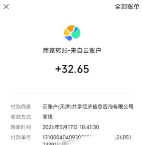 微信游戏撸广独家玩法，今天做明天就能出收益，单号日收益20+，可多号矩阵放大-虚拟资源库