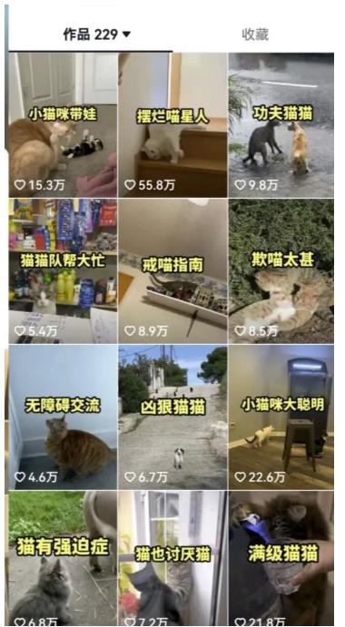拆解抖音盘点类中视频变现副业项目,视频版一条龙大解析分享给你【视频课程】-虚拟资源库