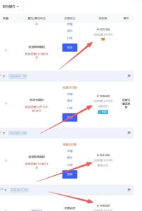 【超强副业】淘宝超高价女装项目:1单賺1k+,可工作室放大(共52节)-虚拟资源库