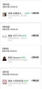宠物托运阳光赛道賺钱教学,小众高刚需冷门项目,日均10单稳定盈利,单均利润200+-虚拟资源库