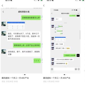 薅流虚拟2.0陪跑课,0成本AI流程化操作,淘宝+闲鱼同步玩法,上一次货两个平台有收益,单店每天200纯利润-虚拟资源库