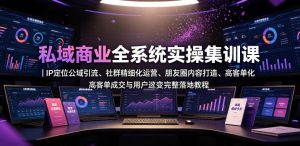 私域商业全系统实操课|IP定位公域引流、社群精细化运营、朋友圈内容打造、高客单成交与用户裂变完整落地教程-虚拟资源库