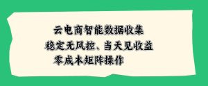 云电商智能数据收集,稳定无风控,当天做当天见收益,零成本矩阵操作【揭秘】-虚拟资源库