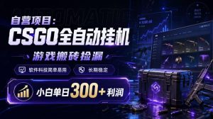 自营项目:CSGO全自动挂G,游戏搬砖捡漏,软件科技简单易用,长期稳定,小白单日300+利润【揭秘】-虚拟资源库