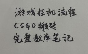 游戏挂G全流程笔记分享,CSGO游戏搬砖,小白看了当天学会见收益【揭秘】-虚拟资源库