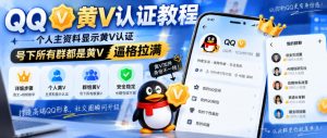 QQ黄V认证教程,个人主资料显示黄V认证,号下所有群都是黄V,逼格拉满-虚拟资源库