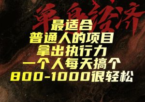 最适合普通人的项目,拿出执行力一个人每天搞个800-1k很轻松【揭秘】-虚拟资源库