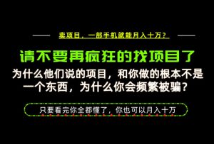 为什么做项目的人大多都是炮灰?为什么只有卖项目才能稳?看完你也可以月入10W+【揭秘】-虚拟资源库