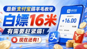 最新支付宝薅羊毛教学,白嫖16米,有需要赶紧薅,现在还有!-虚拟资源库