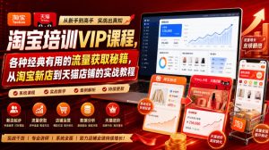 淘宝培训VIP课程,各种经典有用的流量获取秘籍,从淘宝新店到天猫店铺的实战教程(更新08月20日)-虚拟资源库