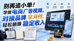 别再追小单!学做电商广告视频,对接品牌拿月付,轻松躺賺稳定收入【原创双语字幕】-虚拟资源库