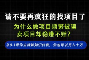 找项目?别傻了!卖项目才是真的一本万利!看完你全都懂了【揭秘】-虚拟资源库