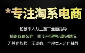 松鼠会电商VIP课程，从基础布局到高阶优化，助你掌握淘宝运营逻辑，提升店铺流量与转化（更新0823）-虚拟资源库