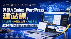 外贸人Codex+WordPress建站课,AI建站·外贸独立站·询盘承接,从0到1学会用Codex辅助建站(更新0810)-虚拟资源库